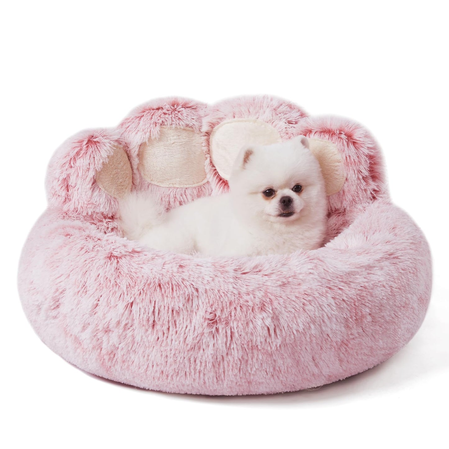Cute bed for pets
