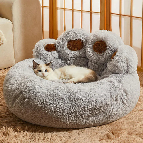 Cute bed for pets