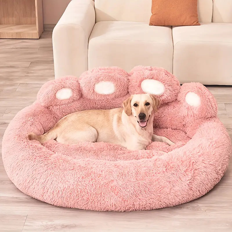 Cute bed for pets