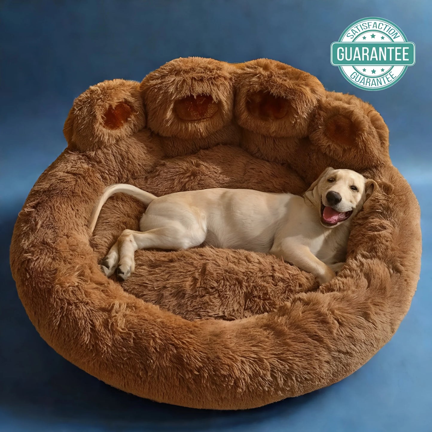 Cute bed for pets